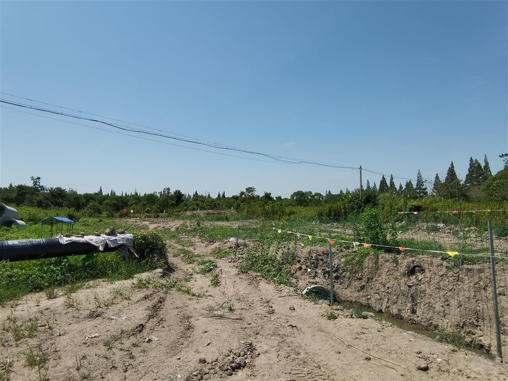 
北京佑安医院黄牛电话,住院检查加快闵行松江“区区通”道路5年仍未打通：泖亭路接不上剑川路，梗在哪？